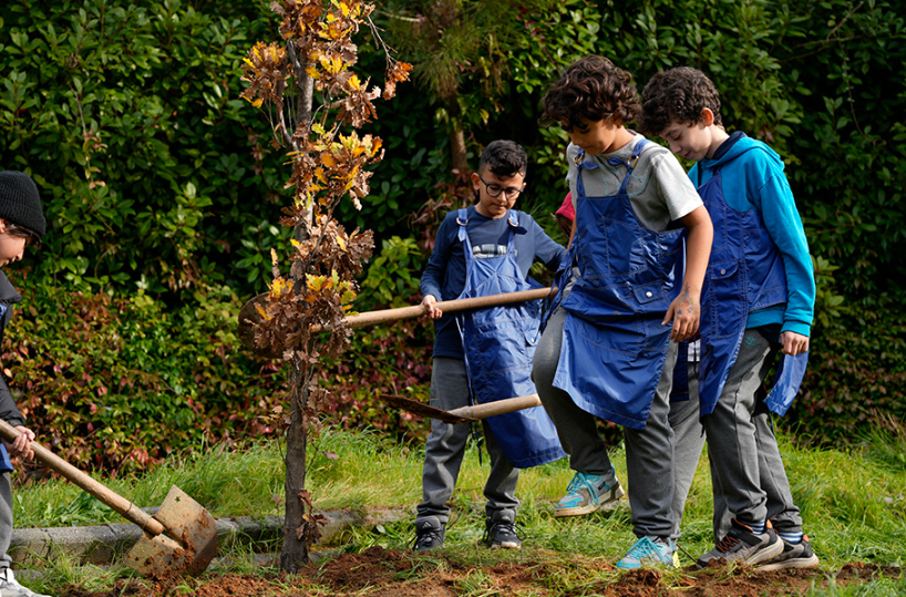 Ormanımızı Gençleştirme Seferberliğinde Yeni Adım: Fidanlarımız Toprakla Buluşuyor