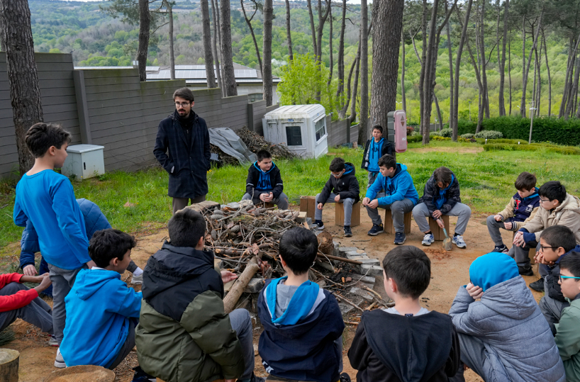 Forest Activity