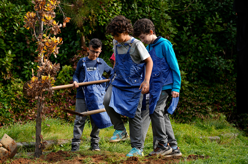 NÛN Family's Forest Rejuvenation Enters A New Phase